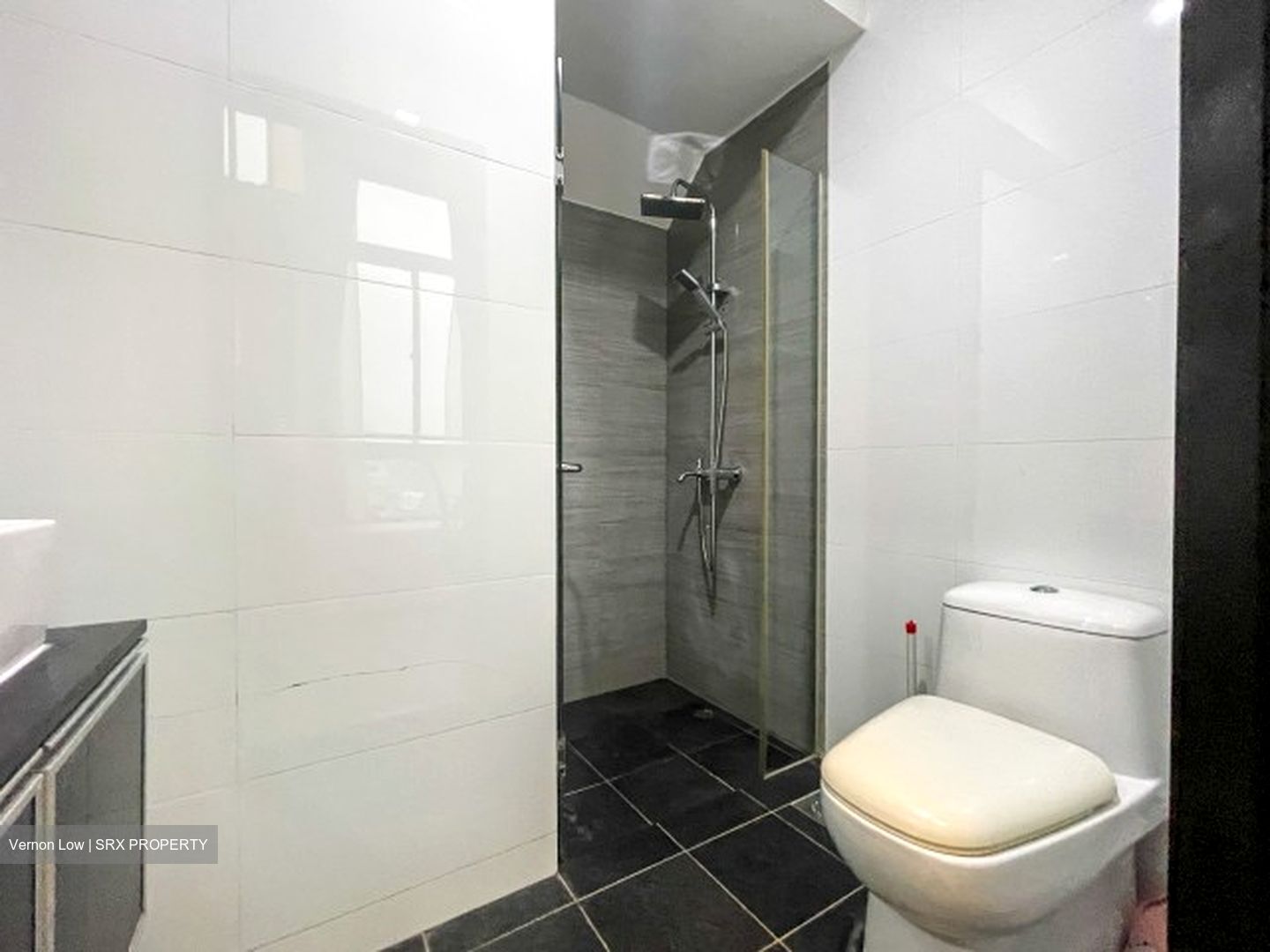 Viva Vista (D5), Apartment #453328521